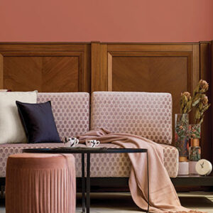 Kelly-Moore Himalayan Salt color