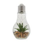 light bulb terrarium