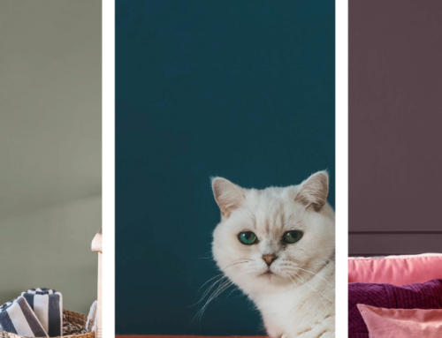 Dunn-Edwards Reveals 2026 Color Trends